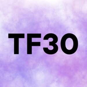 Increase Majestic TF to 30+ (High Trust Flow SEO Service)