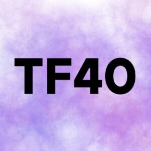 Increase Majestic TF to 40+ (Premium Trust Flow SEO Boost)