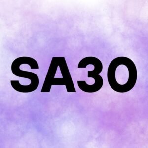 Increase Semrush SA to 30+ (Premium Site Authority SEO Service)