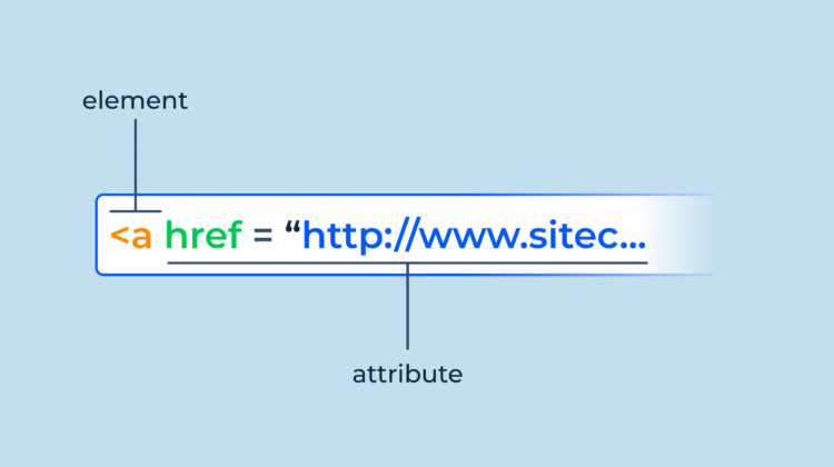 Absolute Hyperlink HTML Guide for Better Website Navigation