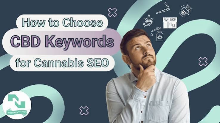 Best SEO Tools for Marijuana Keyword Research and Rankings