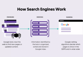 Search Engines Dodo Guide Features and How It Works