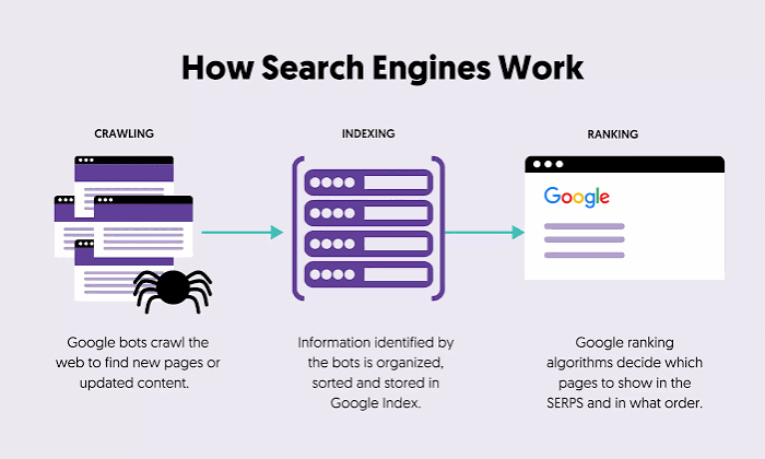 Search Engines Dodo Guide Features and How It Works