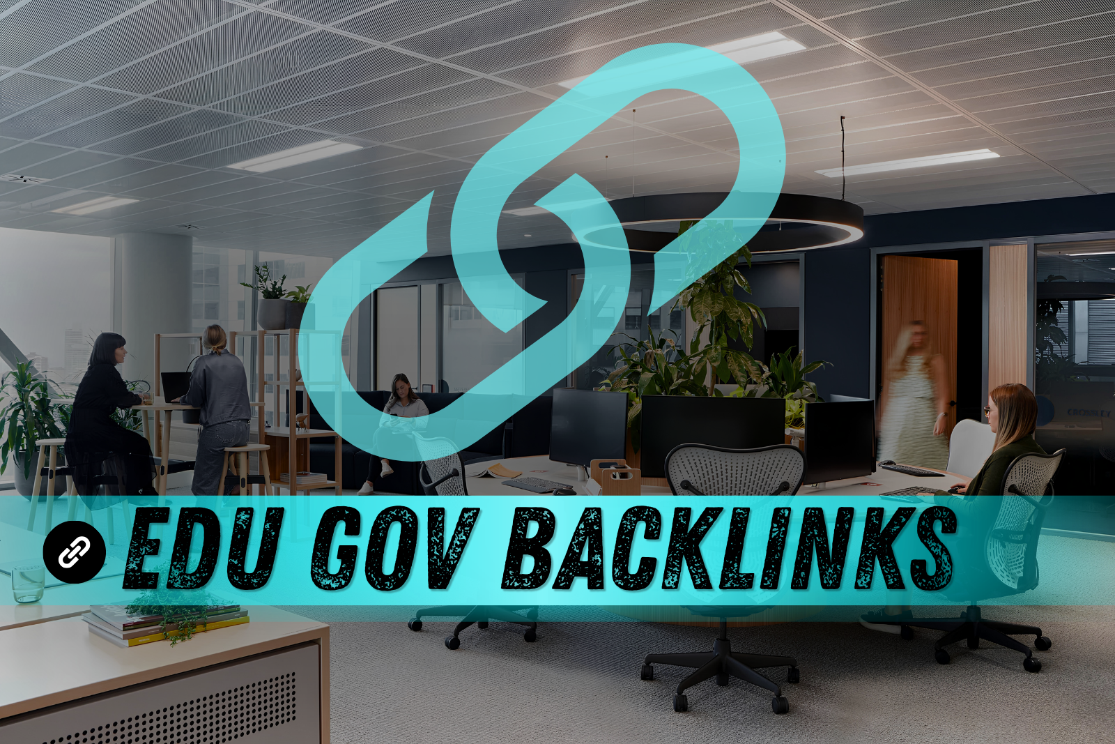 edu gov backlinks